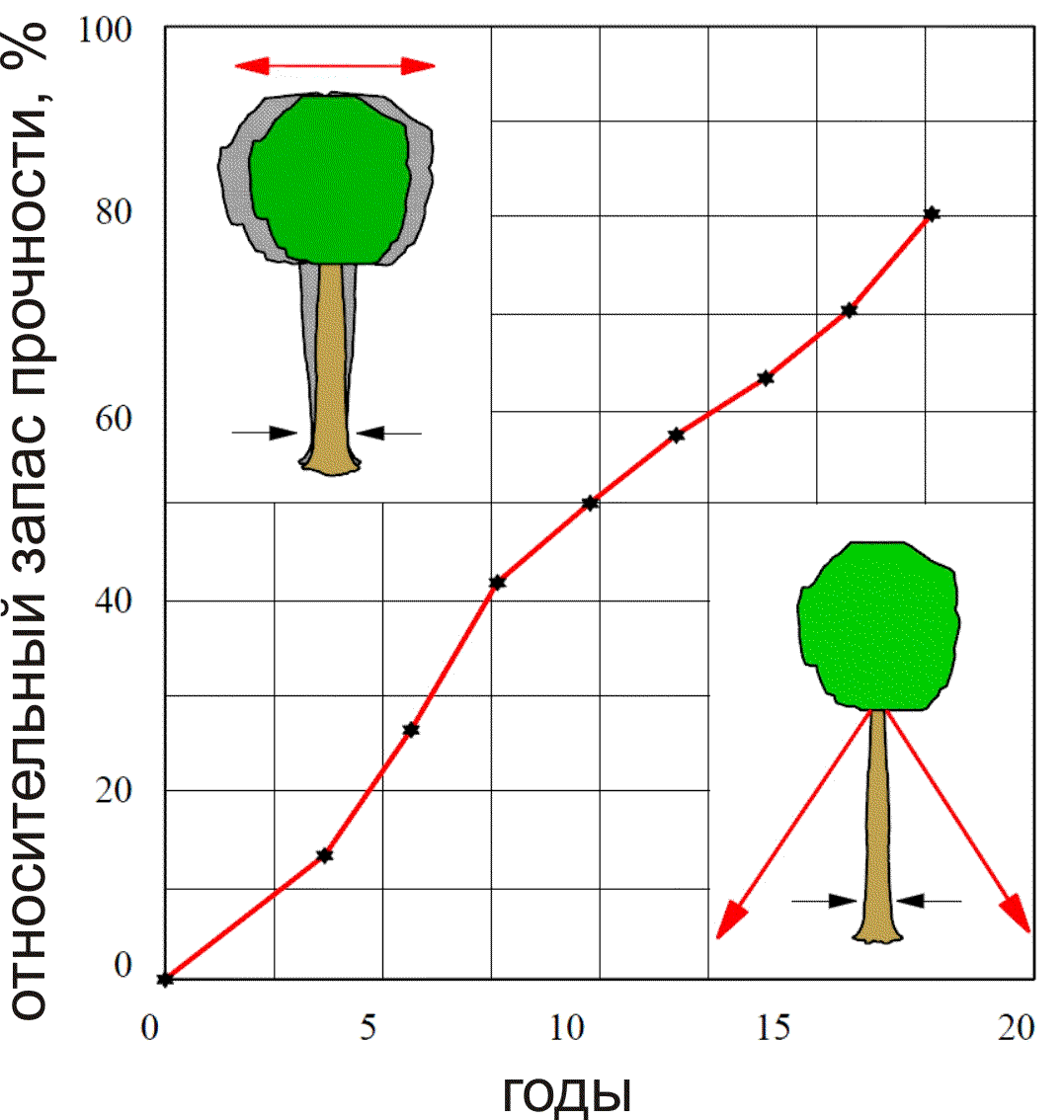 Связь динамического каблинга с прочностью дерева